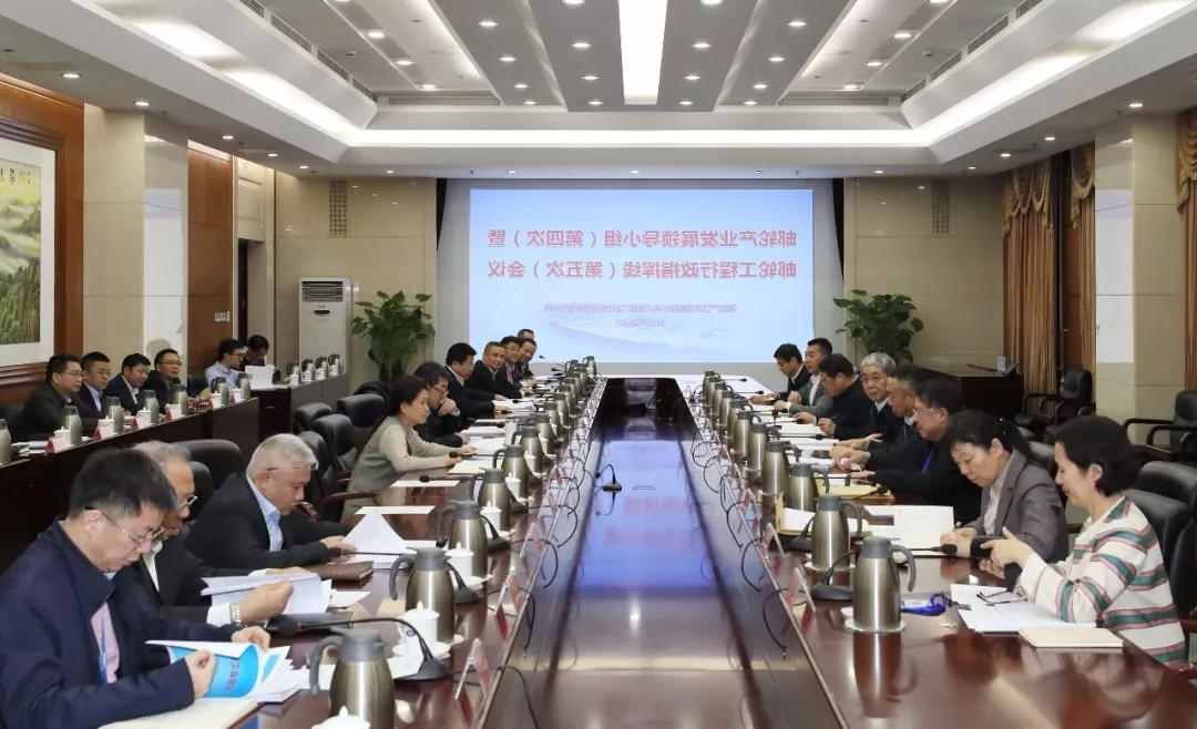 邮轮产业发展领导小组第四次会议